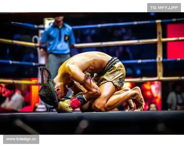 泰拳最大赛事排名